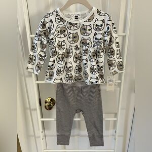 Brand New Tea Collection Baby Peplum Top and Leggings Set Cat Stripes 12-18m